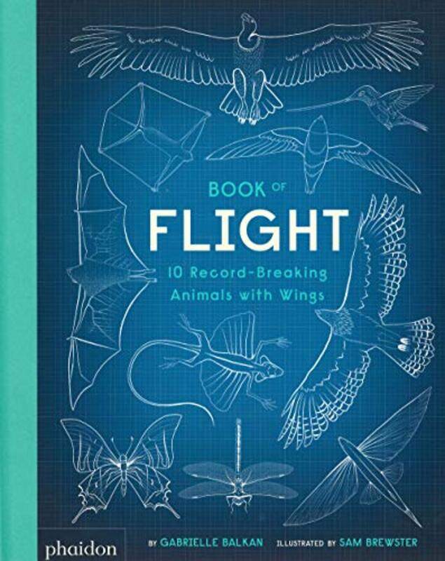 

Book of Flight by Gabrielle Balkan-Hardcover