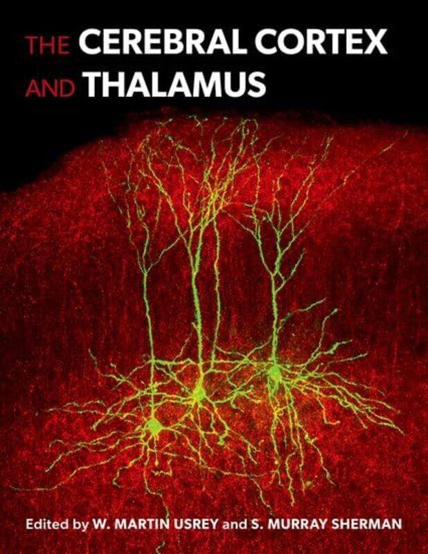 

The Cerebral Cortex and Thalamus by Jill Harland-Hardcover