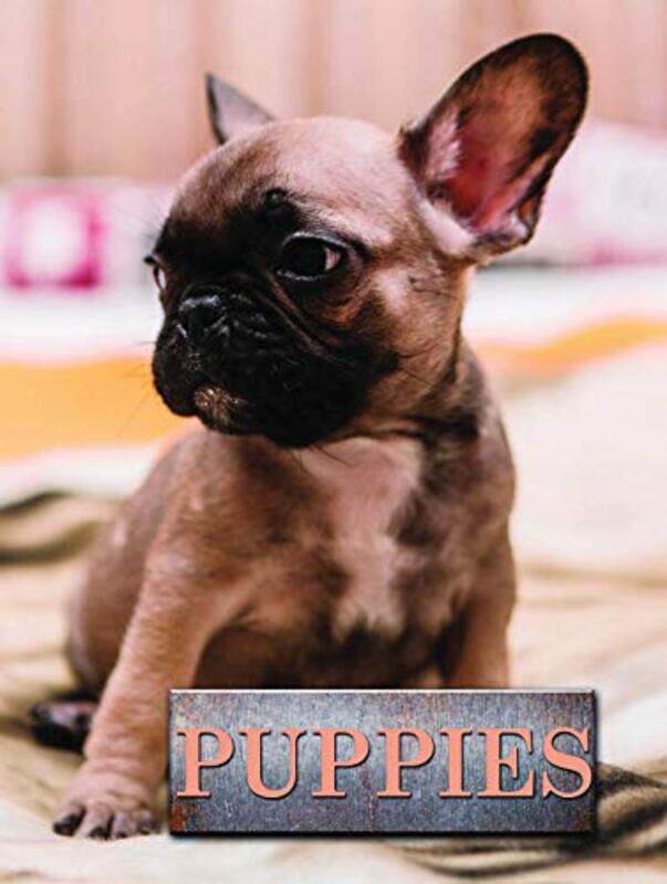 

Puppies by Judy Hornigold-Hardcover