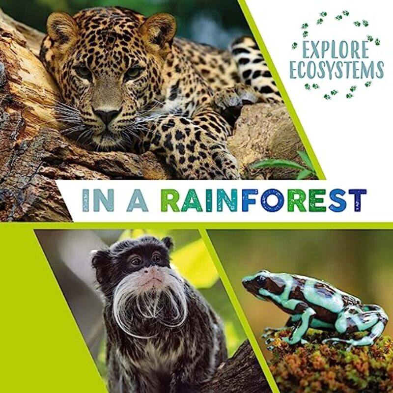 

Explore Ecosystems In a Rainforest by Nakhle H AsmarLoukas Grafakos-Paperback