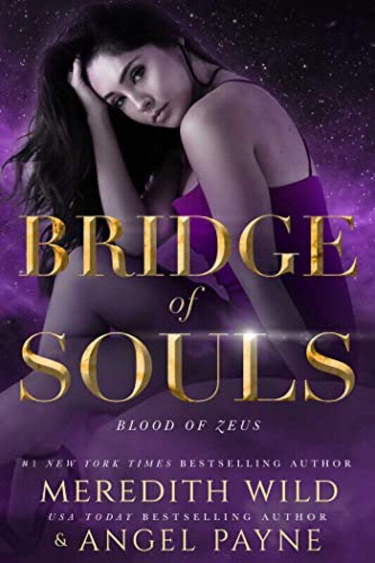 

Bridge of Souls by Meredith WildAngel Payne-Paperback