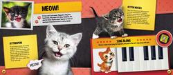 My Cutest Kitten Book (With Augmented Reality), Hardcover Book, By: Kay Woodward