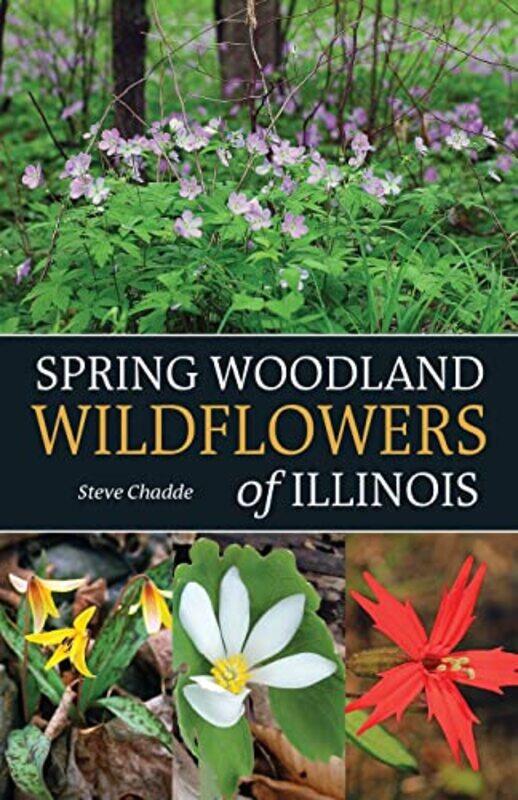 

Spring Woodland Wildflowers of Illinois by Steven Dillon-Paperback