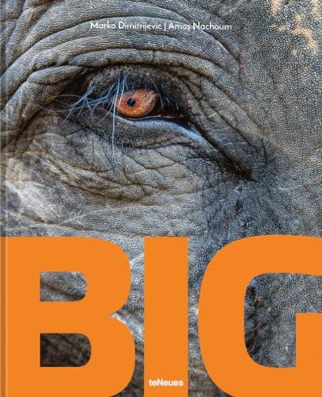 

Big by Robert E Jr DentonBen VothJudith S TrentRobert V Friedenberg-Hardcover