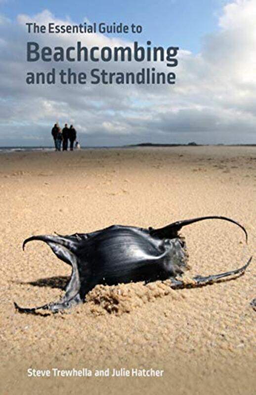 

The Essential Guide to Beachcombing and the Strandline by Ilya Shapiro-Paperback