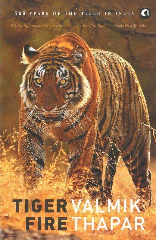 

TIGER FIRE (PB)