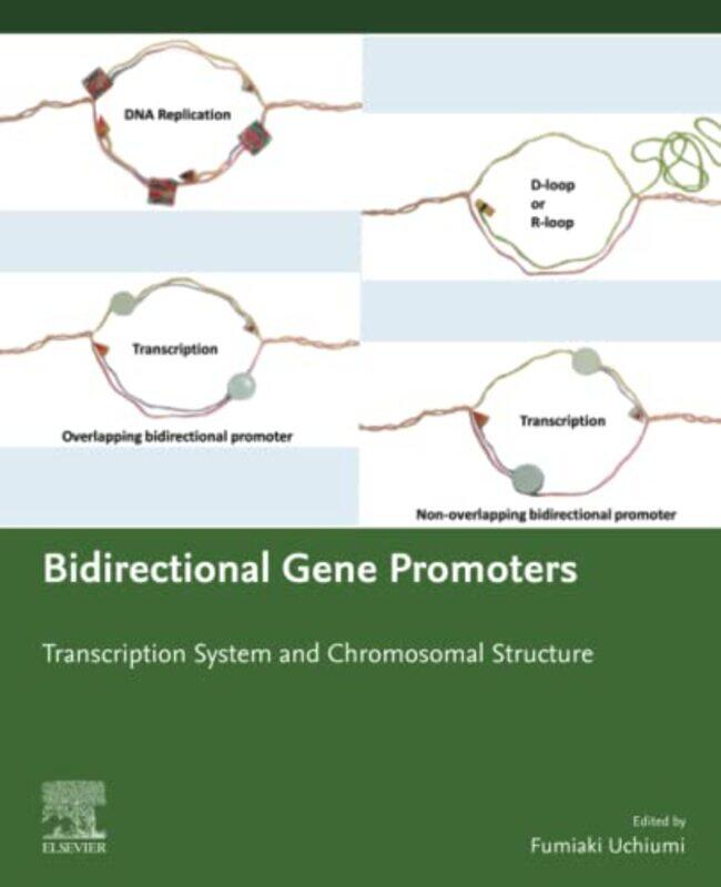 

Bidirectional Gene Promoters by Tony CottonCaroline ClissoldLinda GlithroCherri MoseleyJanet Rees-Paperback