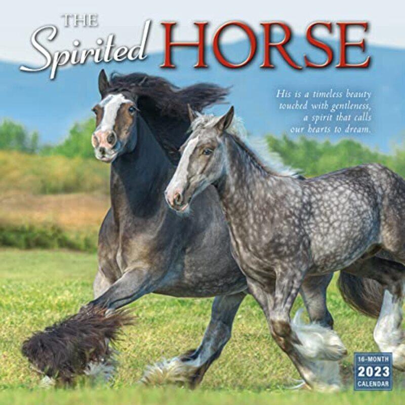 

Spirited Horse The by SELLERS PUBLISHING-Paperback