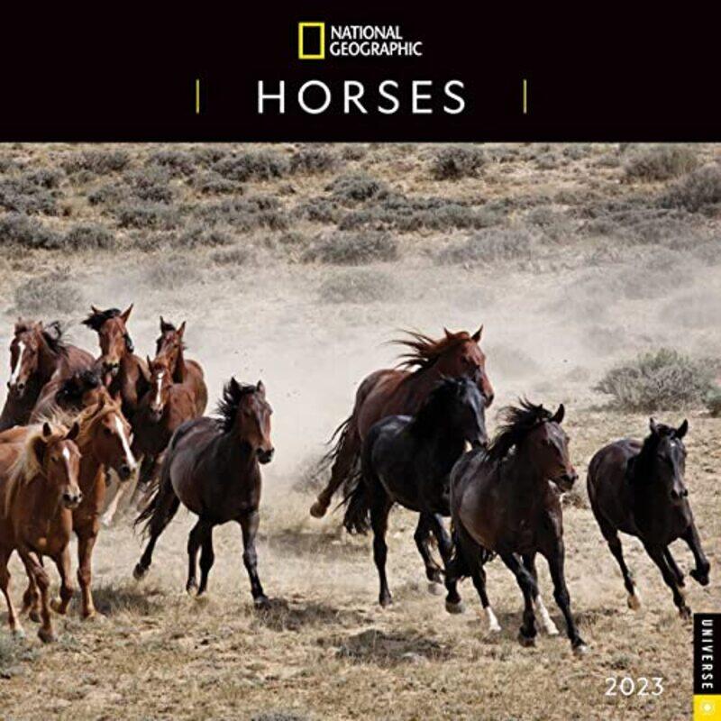 

National Geographic Horses 2023 Wall Calendar by National Geographic - Paperback