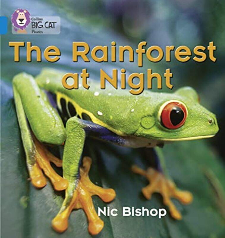 

The Rainforest at Night by Paperblanks-Paperback