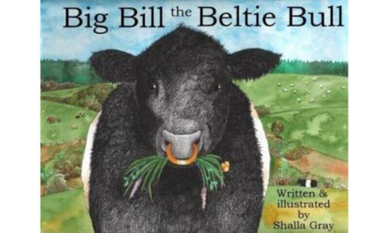 

Big Bill the Beltie Bull -Paperback