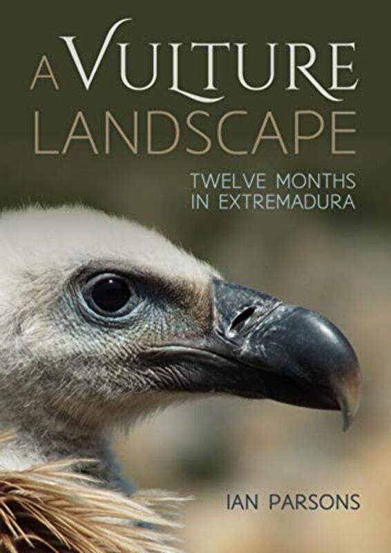 

A Vulture Landscape by Angela M Managing Partner Managing Partner Coherit Associates LabradorNeil Asher Managing Partner Managing Partner Coherit Asso