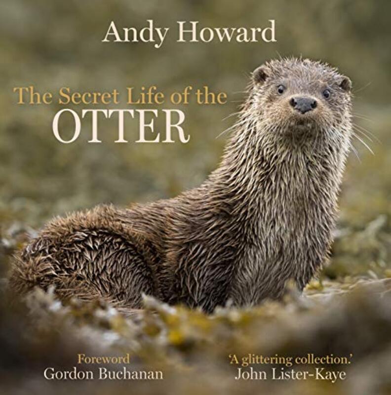 

The Secret Life of the Otter by David Gange-Hardcover