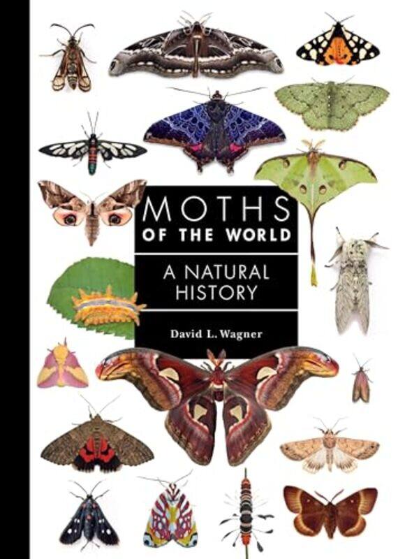 

Moths Of The World A Natural History, Hardcover by Wagner, David