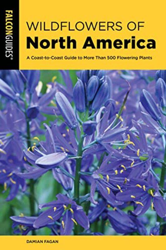 

Wildflowers of North America-Paperback