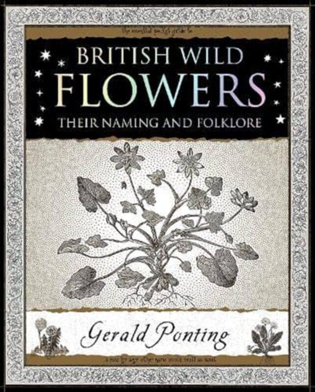 

British Wild Flowers by Lawrence State University of New York Buffalo Shulman-Paperback