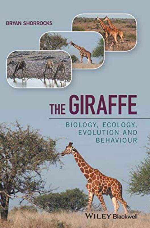 

The Giraffe by Baird Hersey-Hardcover