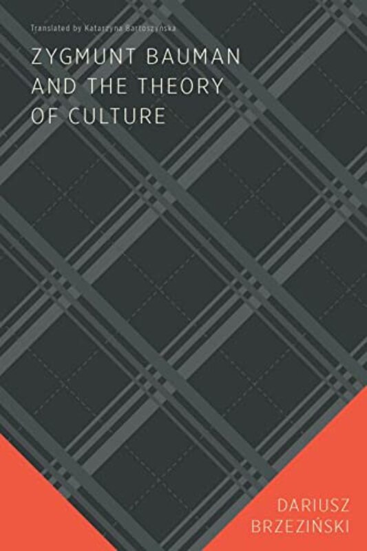 Zygmunt Bauman and the Theory of Culture by Dariusz BrzezinskiKatarzyna Bartoszynska-Paperback