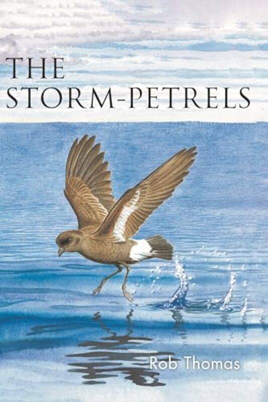 

The Stormpetrels by Rob Thomas-Paperback