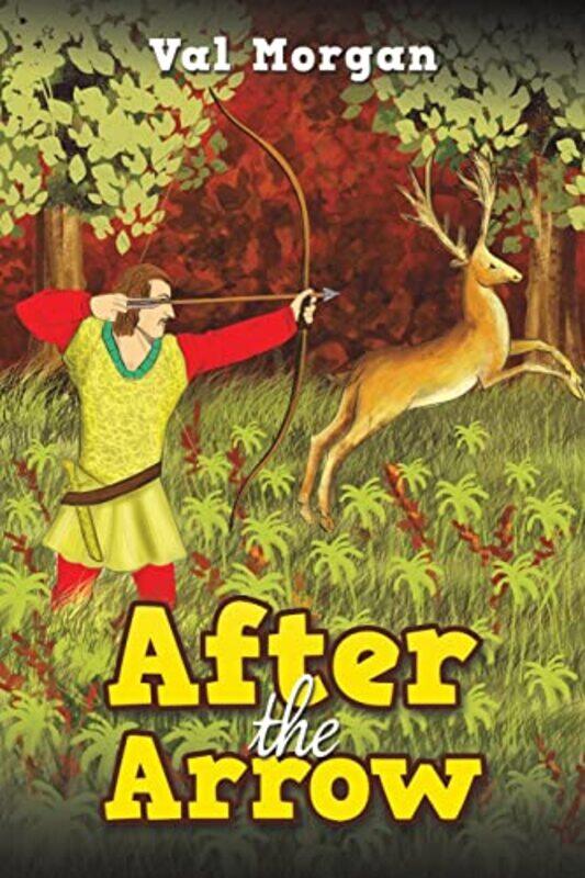 

After the Arrow by Val Morgan-Paperback