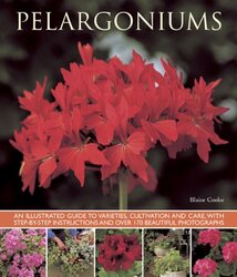 Pelargoniums , Paperback by Cooke, Blaise