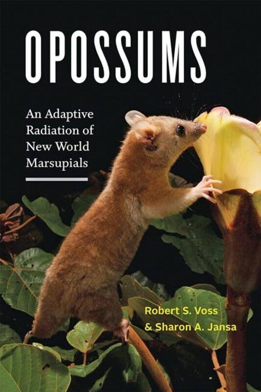 

Opossums by Robert S American Museum of Natural History VossSharon A University of Minnesota Jansa-Hardcover