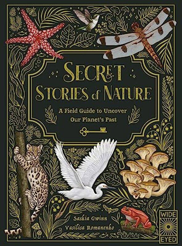 

Secret Stories of Nature by Jerry A Lang-Hardcover