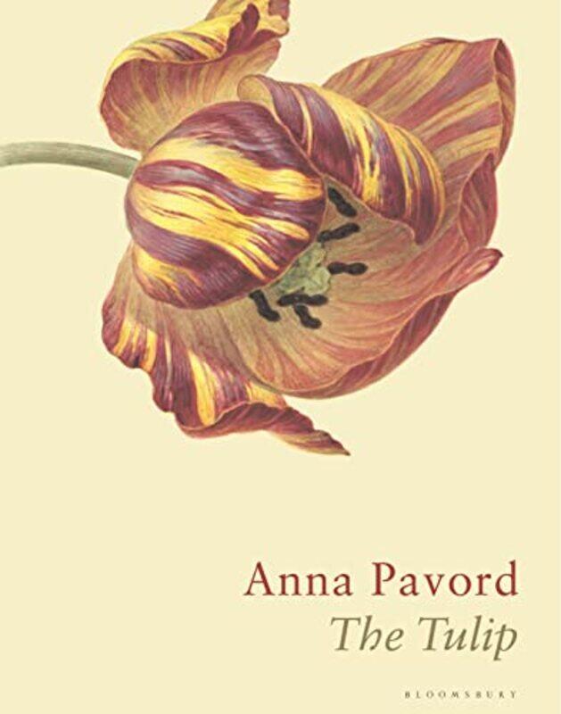 

The Tulip by Anna Pavord-Hardcover