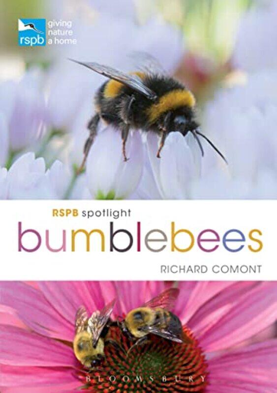

RSPB Spotlight Bumblebees by Joseph A Pipa-Paperback