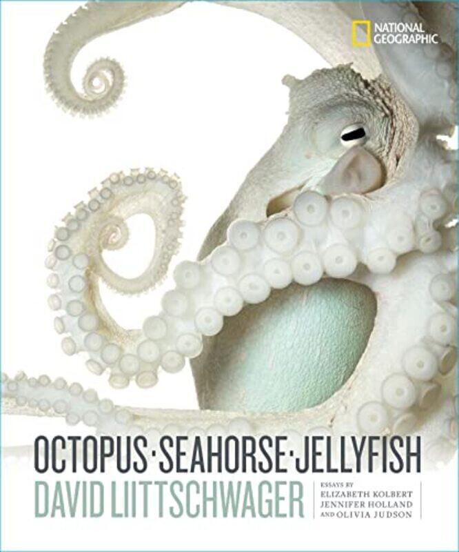 

Octopus Seahorse Jellyfish by Rosemary O'Leary-Hardcover