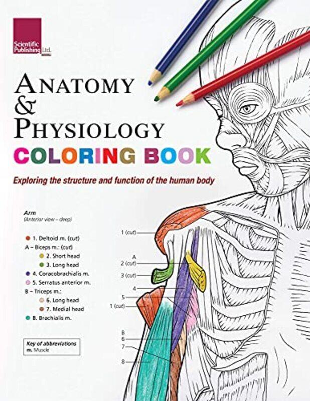 

Anatomy & Physiology Colouring Book Exploring The Structure & Function Of The Human Body by Scientific Publishing Paperback