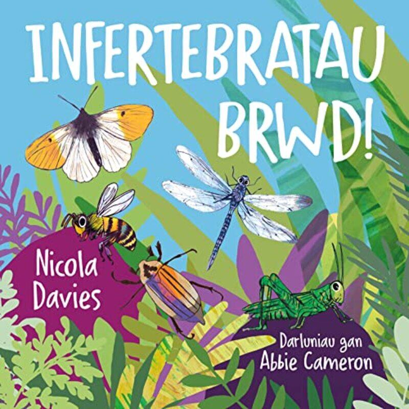 

Infertebratau Brwd by Nicola DaviesAbbie CameronAnwen Pierce-Paperback