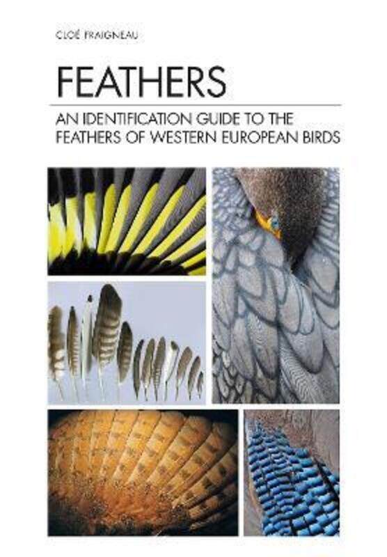 

Feathers,Hardcover, By:Cloe Fraigneau