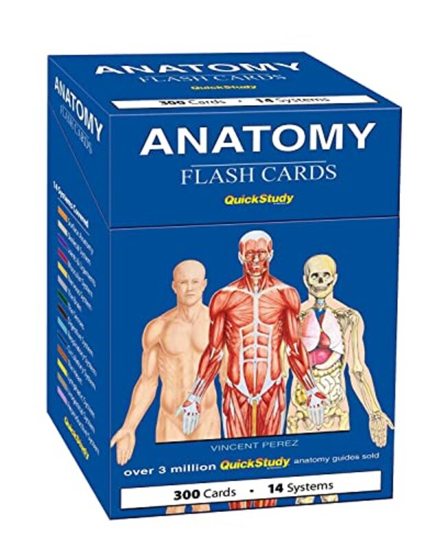 Anatomy Flash Cards A Quickstudy Reference Tool By Perez, Vincent Paperback
