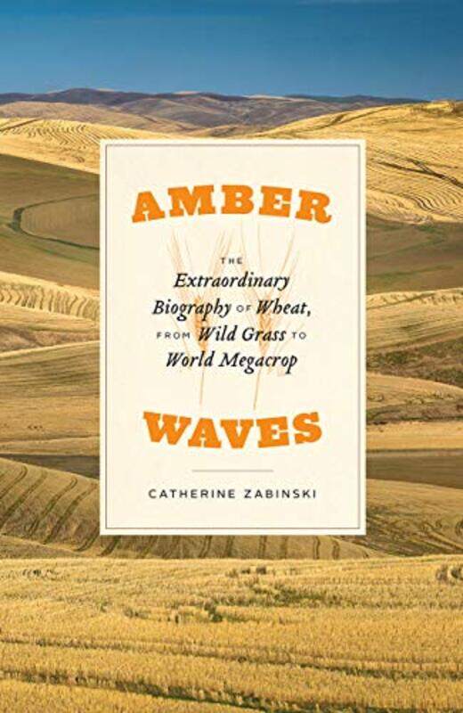 

Amber Waves by Jim Manchester Metropolitan University UK DobsonAlexandra Manchester Metropolitan University UK Melrose-Hardcover