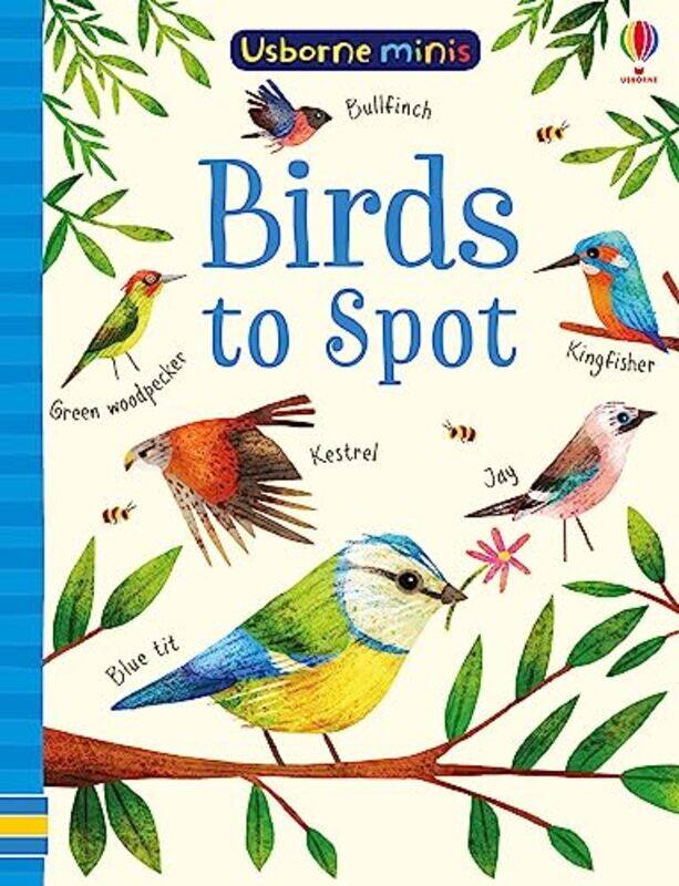 

Birds to Spot by Anthony University of Rochester Rochester NY USA Almudevar-Paperback