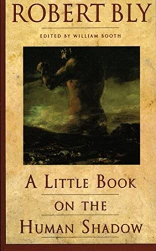

Little Bk On The Human Shadow By Bly Robert - Paperback