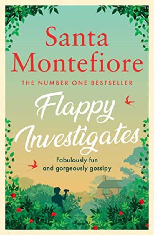 

Flappy Investigates Paperback by Montefiore, Santa