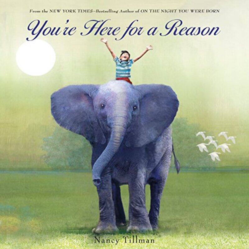 

Youre Here For A Reason Board By Tillman Nancy - Hardcover