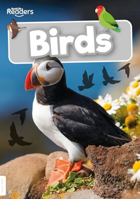 

Birds by Mihaly CsikszentmihalyiPhilip LatterChristine Weinkauff Duranso-Paperback