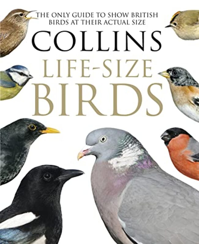 Collins LifeSize Birds by Fredrik NorenEmil StjernholmC Claire Thomson-Hardcover