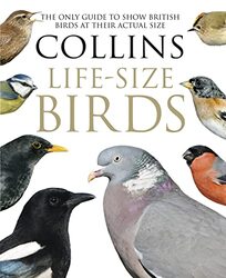 Collins LifeSize Birds by Fredrik NorenEmil StjernholmC Claire Thomson-Hardcover