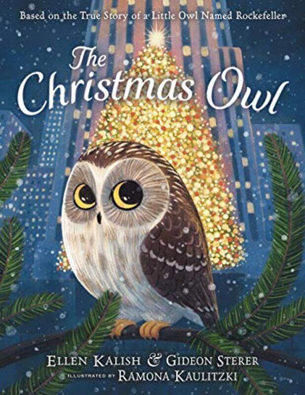 

Christmas Owl By Sterer Gideon - Hardcover