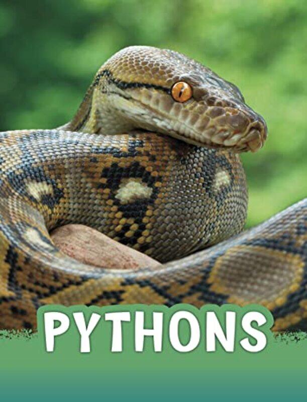 

Pythons by Carol Matchett-Paperback