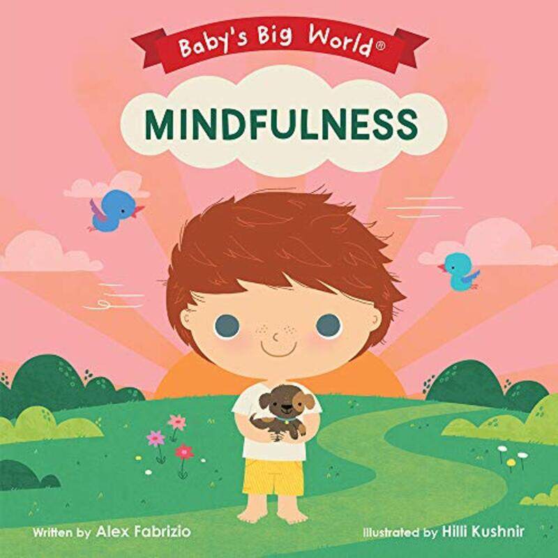 

Mindfulness By Alex Fabrizio -Paperback