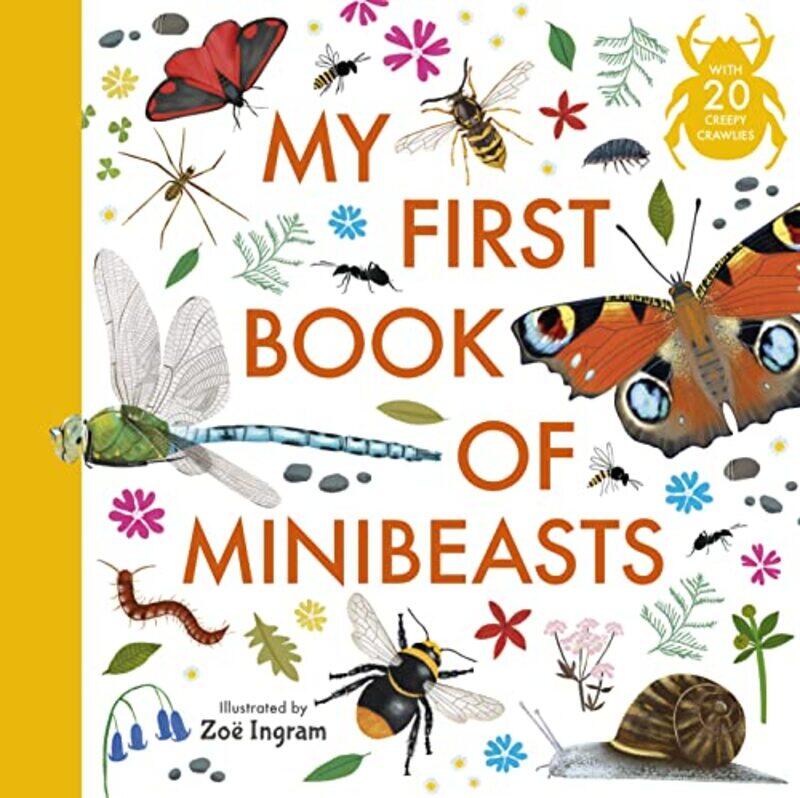 

My First Book of Minibeasts by Graham Leicester-Hardcover