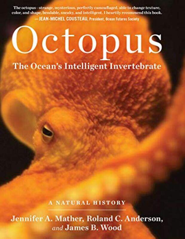 

Octopus by C Otto Scharmer-Hardcover