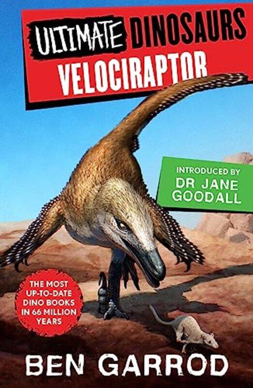 

Velociraptor by Jen Allan-Paperback