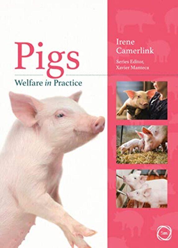 

Pigs Welfare in Practice by Carol Vorderman-Paperback