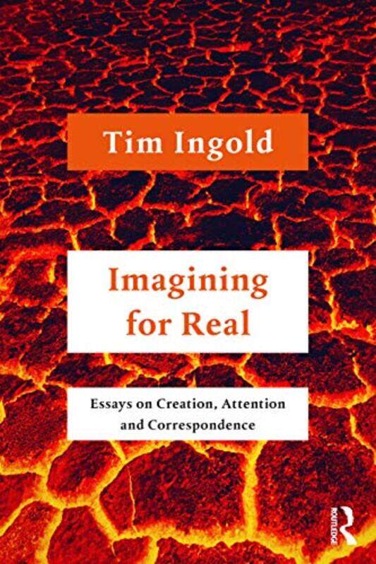 

Imagining for Real by Konstantinos Dimopoulos-Paperback